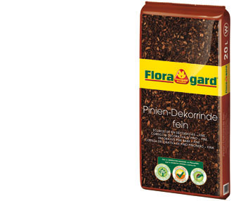 Fina corteza decorativa de pino piñonero